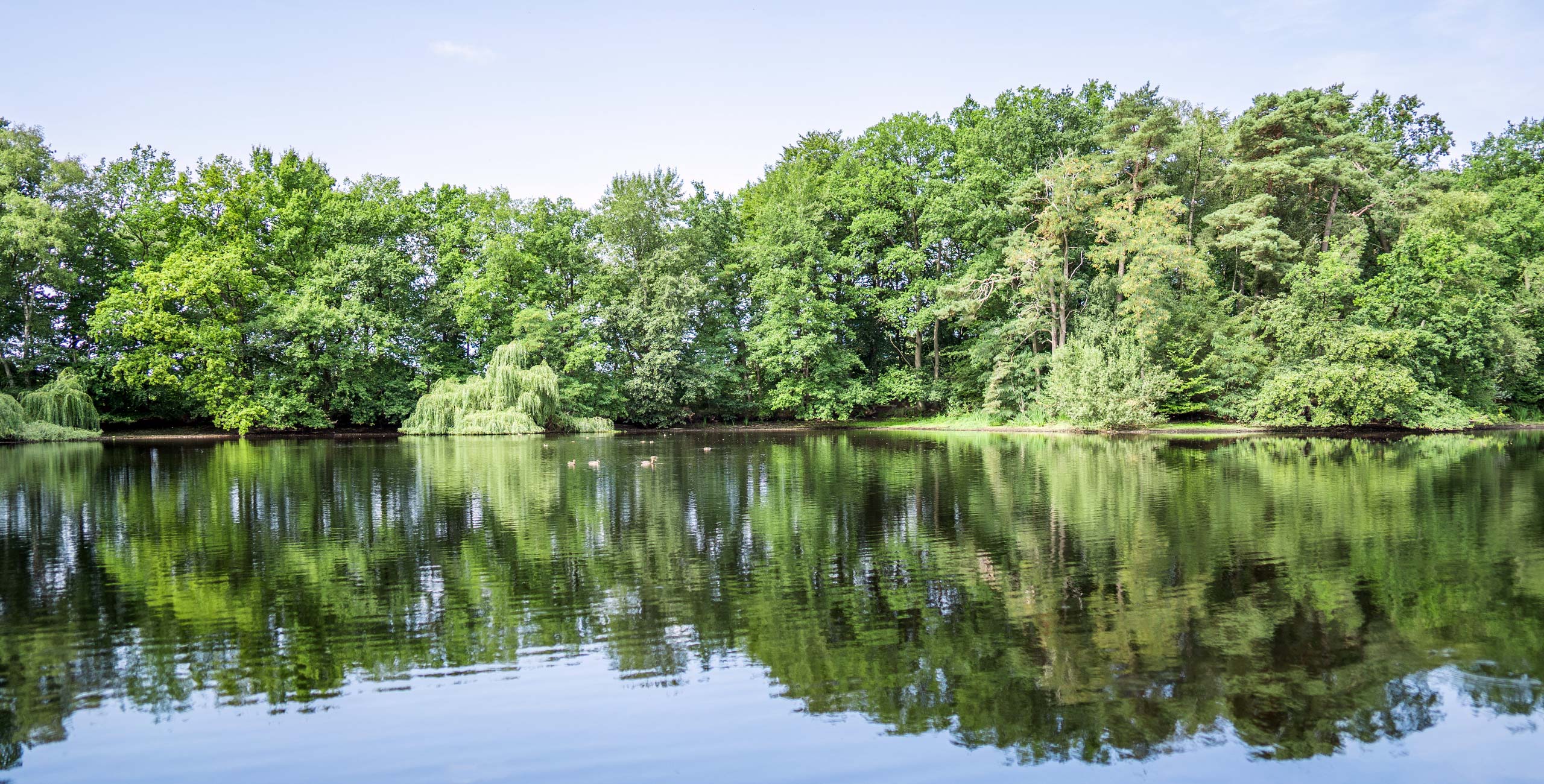 hochzeitsfeier see elmshorn 02